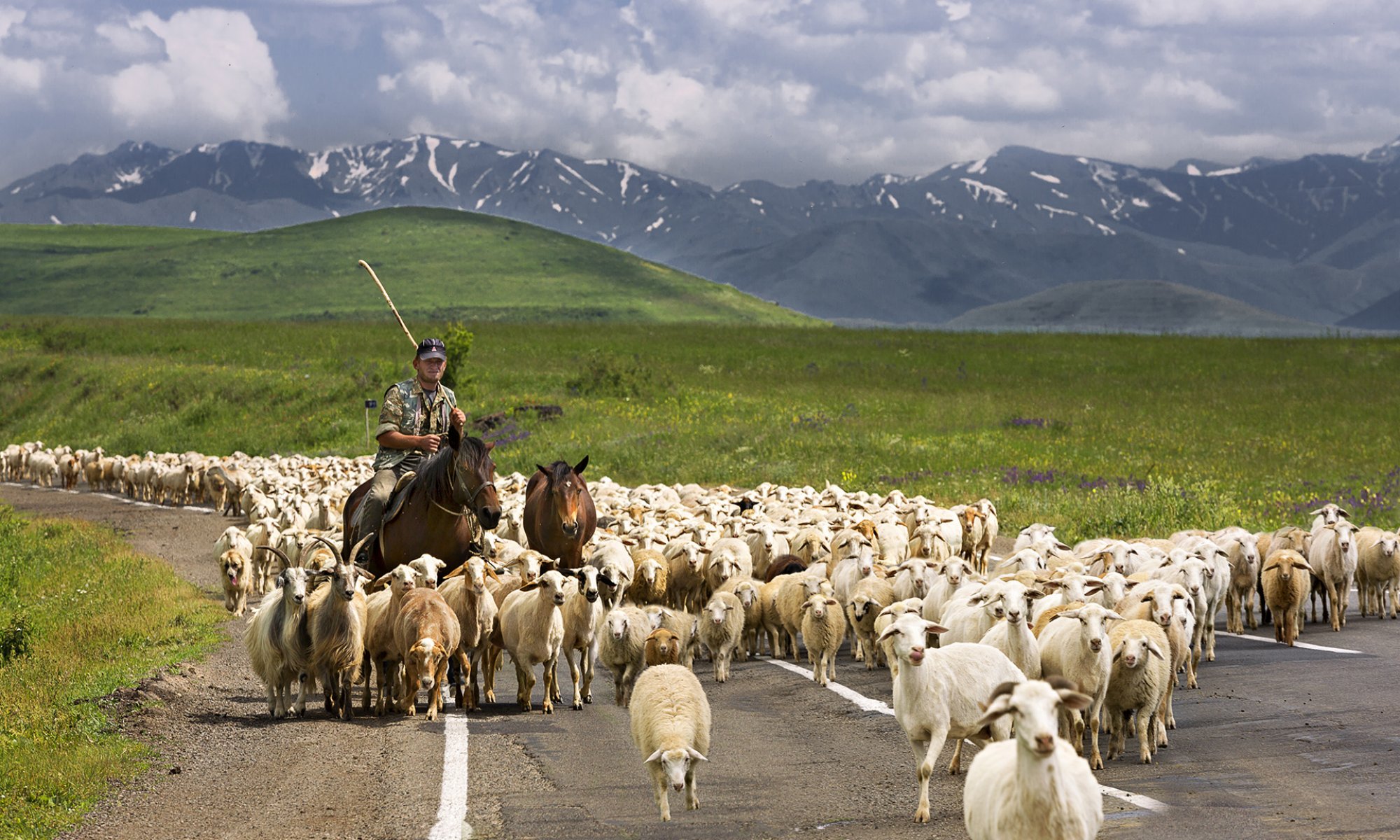 Skoraj tri četrtine Armenije pokrivajo kmetijska zemljišča. Večinoma gre za gorske pašnike, na katerih pasejo zlasti ovce, koze in konje. 